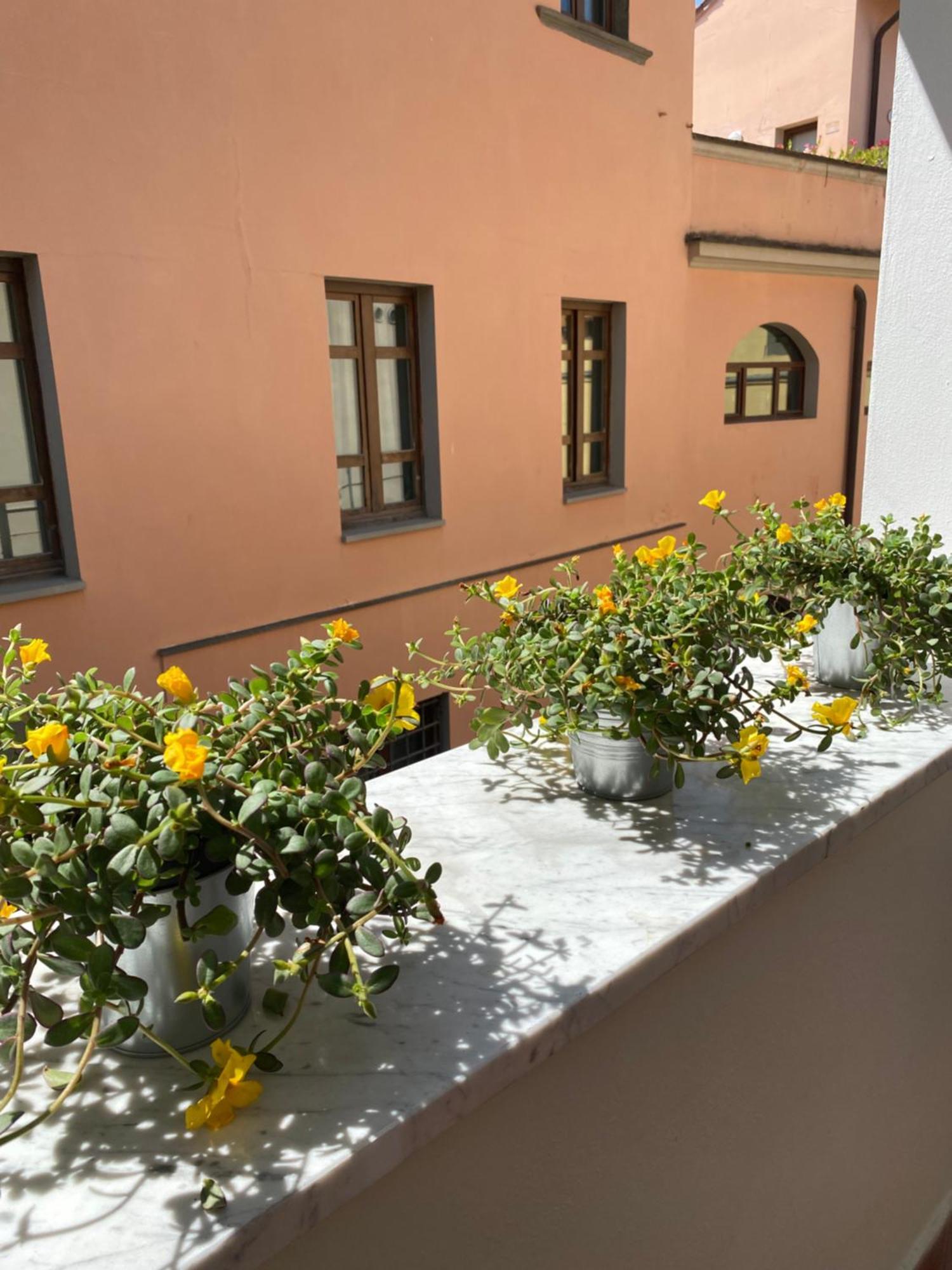 Blom Apartments Пиза Екстериор снимка